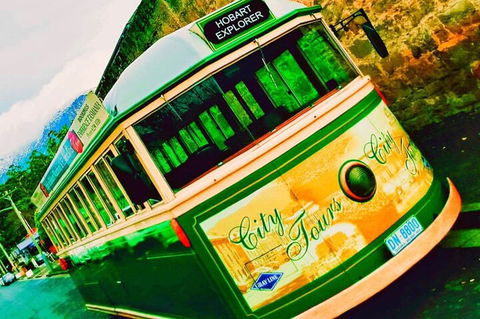 Hobart Half-Day Sightseeing Coach Tram Tour - Accommodation Gold Coast 5