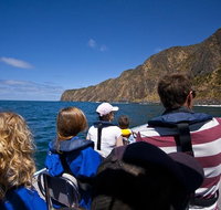 Seal Island Boat Tour from Victor Harbor - Accommodation Gold Coast