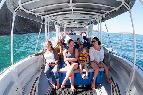 Seal Island Boat Tour From Victor Harbor - Accommodation Gold Coast 1