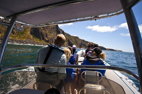 Seal Island Boat Tour From Victor Harbor - Accommodation Gold Coast 2