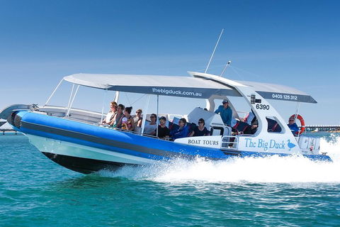 Seal Island Boat Tour From Victor Harbor - Accommodation Gold Coast 3