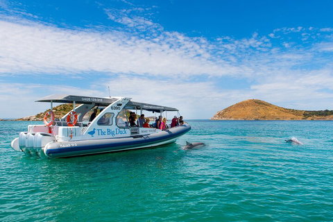 Southern Ocean Adventure From Victor Harbor - Accommodation Gold Coast 1