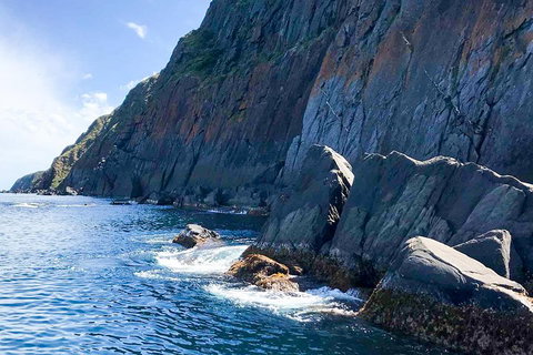 Southern Ocean Adventure From Victor Harbor - Accommodation Gold Coast 3
