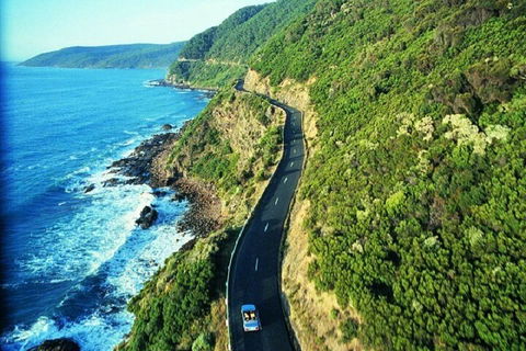 Melbourne Super Saver: Great Ocean Road + Mornington Peninsula + Attraction Pass - Accommodation Gold Coast 0
