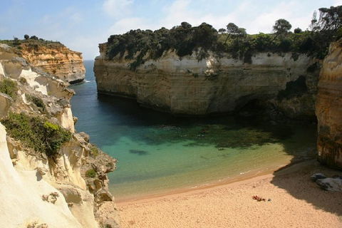 Melbourne Super Saver: Great Ocean Road + Mornington Peninsula + Attraction Pass - Accommodation Gold Coast 3