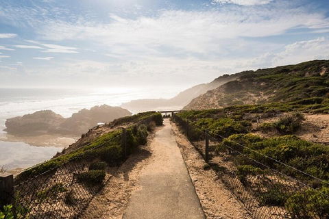 Melbourne Super Saver: Great Ocean Road + Mornington Peninsula + Attraction Pass - Accommodation Gold Coast 4