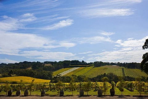 Melbourne Super Saver: Great Ocean Road + Mornington Peninsula + Attraction Pass - Accommodation Gold Coast 5