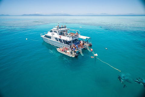 Ocean Freedom Great Barrier Reef Personal Luxury Snorkel & Dive Cruise, Cairns - Accommodation Gold Coast 0