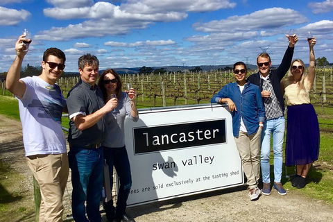 Swan Valley Tour From Perth: Wine, Beer And Chocolate Tastings - Accommodation Gold Coast 1