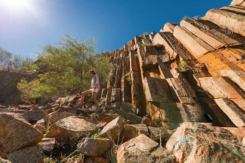 6-Day Eyre Peninsula & Flinders Ranges Adventure Tour - Accommodation Gold Coast 4