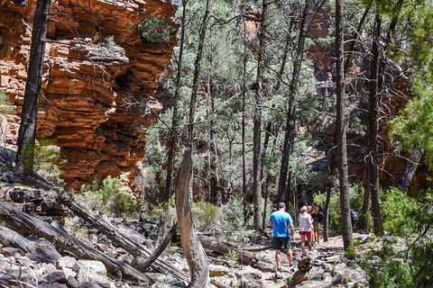 6-Day Eyre Peninsula & Flinders Ranges Adventure Tour - Accommodation Gold Coast 5