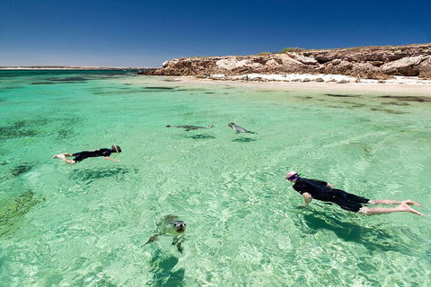 10 Day Adelaide To Perth Private Tour - The Great Australian Wilderness Journey - Accommodation Gold Coast 1