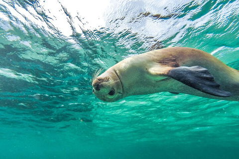 10 Day Adelaide To Perth Private Tour - The Great Australian Wilderness Journey - Accommodation Gold Coast 2