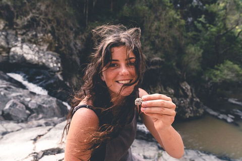 Springbrook AndTamborine Rainforest Tour Incl Natural Bridge And Glow Worm Cave - Accommodation Gold Coast 1