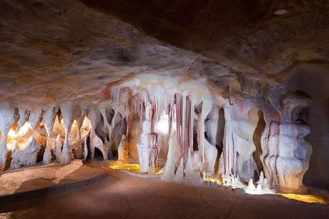 Springbrook AndTamborine Rainforest Tour Incl Natural Bridge And Glow Worm Cave - Accommodation Gold Coast 4