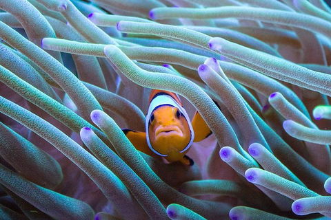 General Admission Entry At AQWA - 1 Gold Coast 4