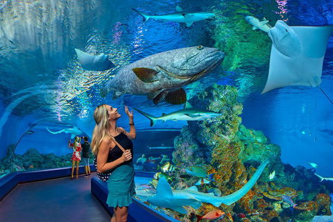 Cairns Aquarium Admission Ticket - Accommodation Gold Coast 3