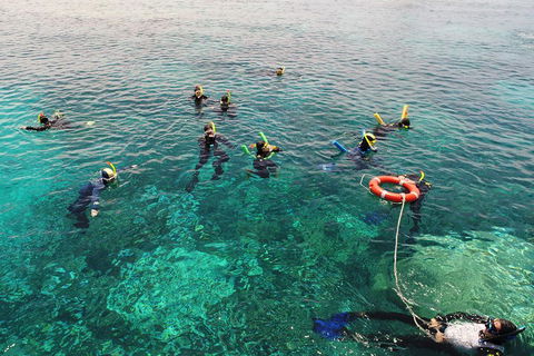 Seastar Luxury Outer Great Barrier Reef Island And Reef Tour From Cairns - Accommodation Gold Coast 2
