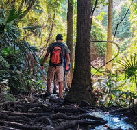 Hike to the Figure Eight Pools - Accommodation Gold Coast