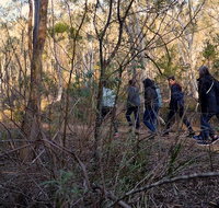 Wild Australian Wildlife 4WD Tour from Sydney - Accommodation Gold Coast