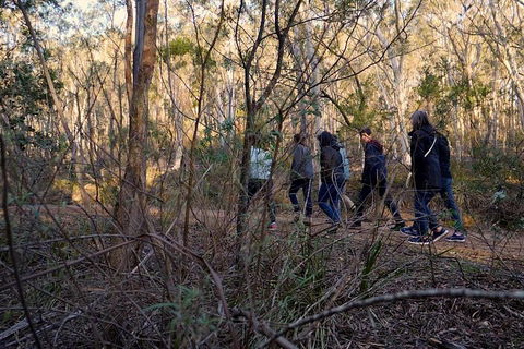 Wild Australian Wildlife 4WD Tour From Sydney - Accommodation Gold Coast 0