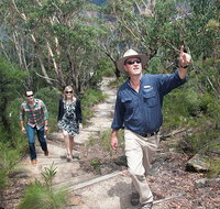 Small-Group Blue Mountains Tour with Bush Walks and Featherdale Wildlife Park - Accommodation Gold Coast