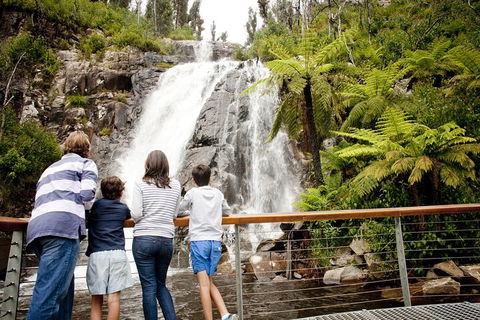 Melbourne Snow Trip To Lake Mountain With Chocolates Visit To A Waterfall - Accommodation Gold Coast 3