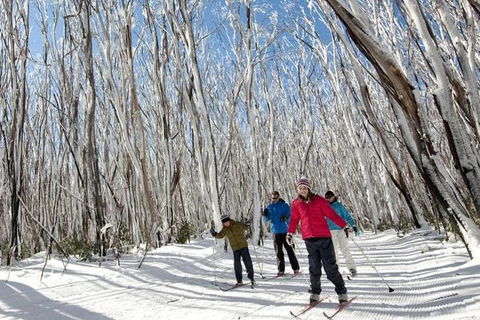 Melbourne Snow Trip To Lake Mountain With Chocolates Visit To A Waterfall - Accommodation Gold Coast 5