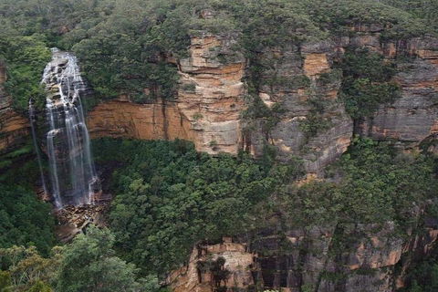 Blue Mountains Private Tour From Sydney With Featherdale Park - Accommodation Gold Coast 1