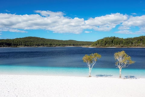 All-Inclusive Fraser Island Day Tour - Accommodation Gold Coast 3