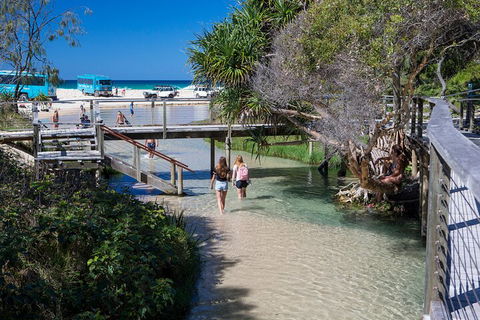 All-Inclusive Fraser Island Day Tour - Accommodation Gold Coast 4
