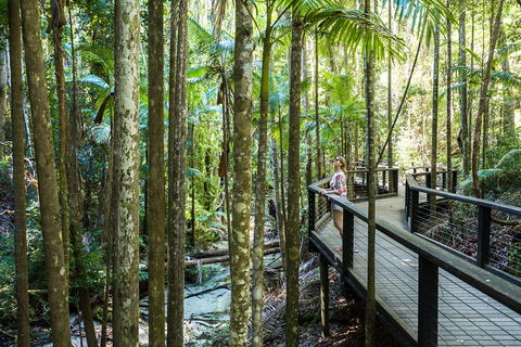 All-Inclusive Fraser Island Day Tour - Accommodation Gold Coast 5