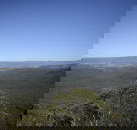 Half-Day Abseiling Adventure in Blue Mountains National Park - Accommodation Gold Coast