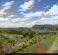 Hunter Valley Wine Tour from Sydney incl Lunch Cheese Chocolate and Distillery - Accommodation Gold Coast