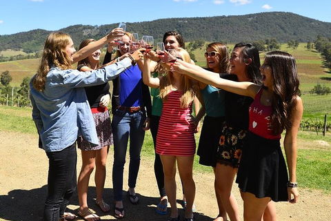 Hunter Valley Wine Tour From Sydney Incl Lunch, Cheese, Chocolate And Distillery - Accommodation Gold Coast 3
