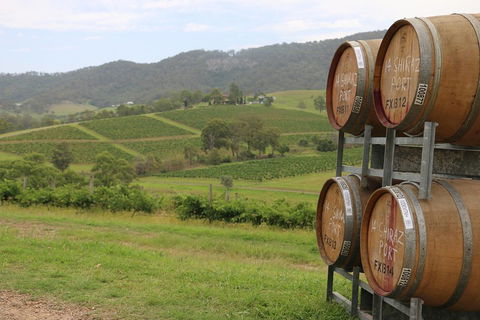 Hunter Valley Wine Tour From Sydney Incl Lunch, Cheese, Chocolate And Distillery - Accommodation Gold Coast 5