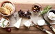 Mornington Peninsula Farm Produce Wine And Cider Tour - thumb 0