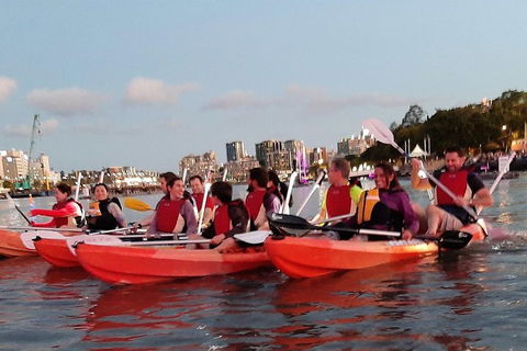 Brisbane River Guided Evening Tour By Kayak - Our Most Popular Tour - Accommodation Gold Coast 0