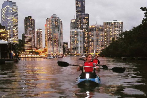 Brisbane River Guided Evening Tour By Kayak - Our Most Popular Tour - Accommodation Gold Coast 3
