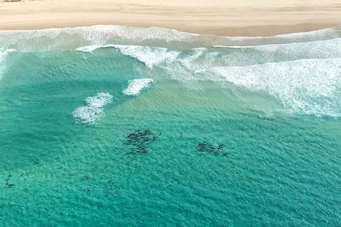Coastal Helicopter Shared Flight - 20 Minutes - Accommodation Gold Coast 4