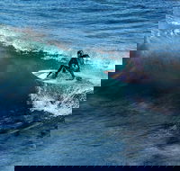 Great Ocean Road Highlights Tour - 2 Days 1 Night - Accommodation Gold Coast