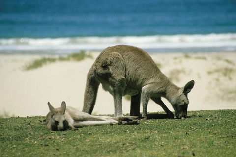Great Ocean Road Highlights Tour - 2 Days, 1 Night - Accommodation Gold Coast 2