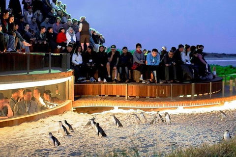 Great Ocean Road & Phillip Island - 3 Days, 2 Nights - Accommodation Gold Coast 0