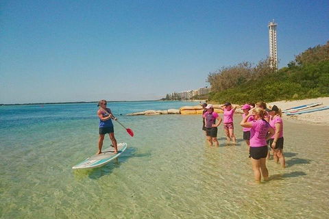 Golden Beach 1-Hour Stand-Up Paddleboard Hire On The Sunshine Coast - Accommodation Gold Coast 1
