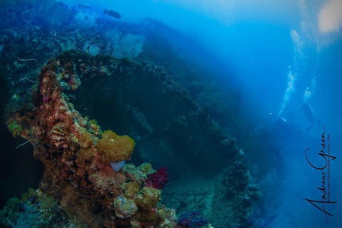 Scuba Dive The S.S. Yongala Wreck On The Great Barrier Reef. - Accommodation Gold Coast 3