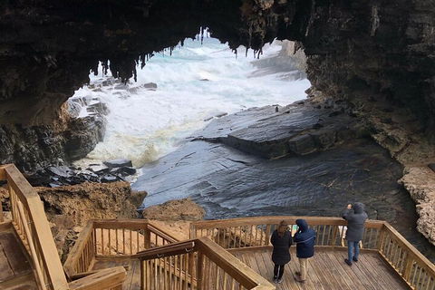 Kangaroo Island 4WD Tour - Best Of KI - Accommodation Gold Coast 1