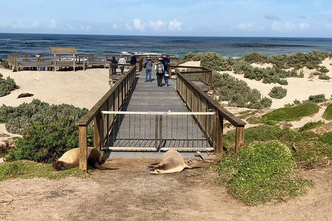 Kangaroo Island 4WD Tour - Best Of KI - Accommodation Gold Coast 2
