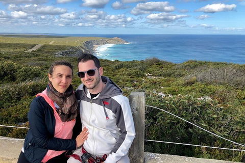 Kangaroo Island 4WD Tour - Best Of KI - Accommodation Gold Coast 4