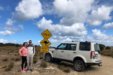 Kangaroo Island 4WD Tour - Best Of KI - Accommodation Gold Coast 5