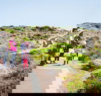 Margaret River Coastal and Wildlife Eco Trip from Busselton or Dunsborough - Accommodation Gold Coast